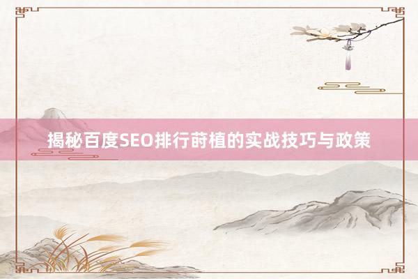 揭秘百度SEO排行莳植的实战技巧与政策